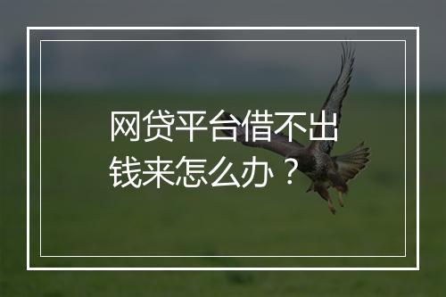 网贷平台借不出钱来怎么办？