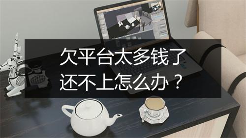 欠平台太多钱了还不上怎么办？