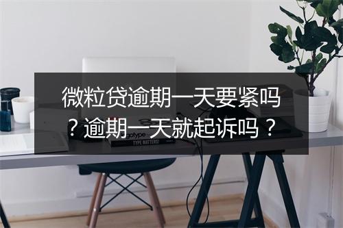 微粒贷逾期一天要紧吗？逾期一天就起诉吗？