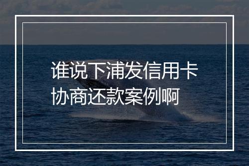 谁说下浦发信用卡协商还款案例啊