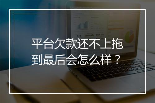 平台欠款还不上拖到最后会怎么样？