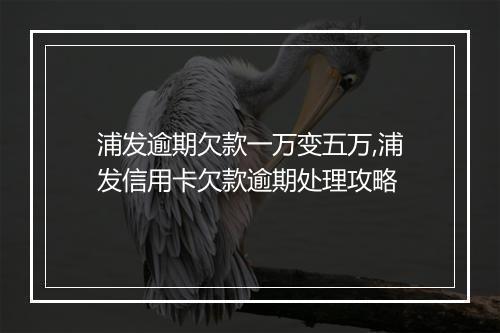 浦发逾期欠款一万变五万,浦发信用卡欠款逾期处理攻略