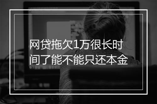 网贷拖欠1万很长时间了能不能只还本金