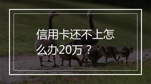信用卡还不上怎么办20万？