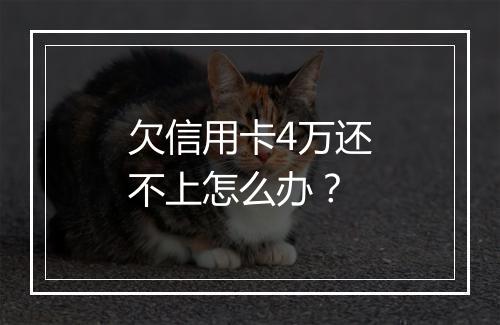 欠信用卡4万还不上怎么办？