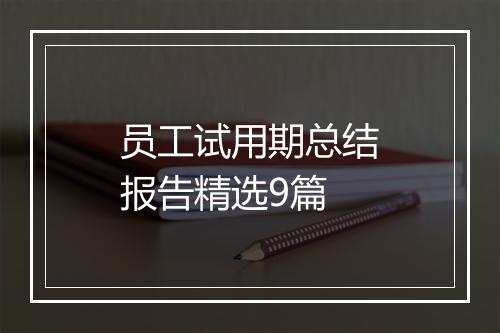 员工试用期总结报告精选9篇