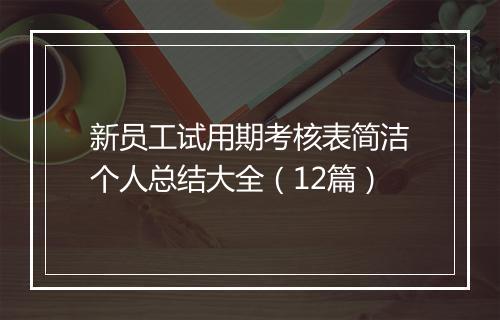 新员工试用期考核表简洁个人总结大全（12篇）