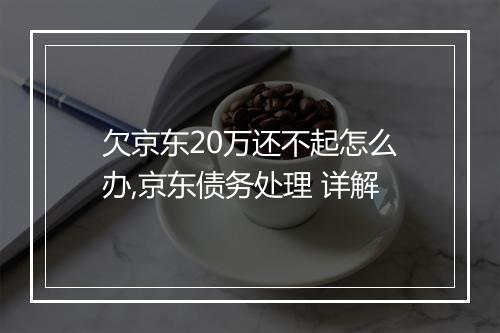 欠京东20万还不起怎么办,京东债务处理 详解