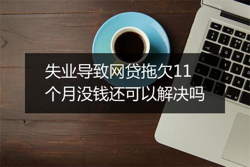 失业导致网贷拖欠11个月没钱还可以解决吗