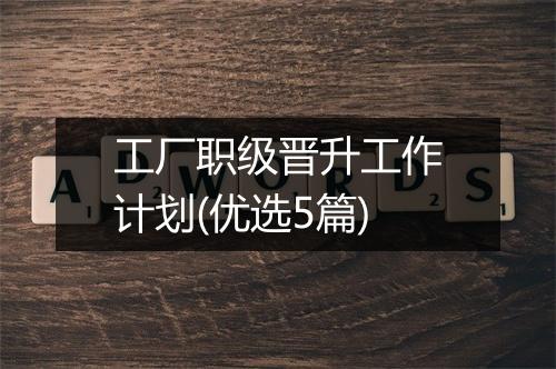 工厂职级晋升工作计划(优选5篇)