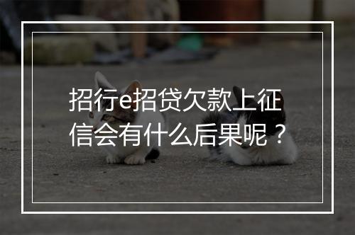 招行e招贷欠款上征信会有什么后果呢？