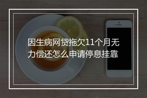 因生病网贷拖欠11个月无力偿还怎么申请停息挂靠
