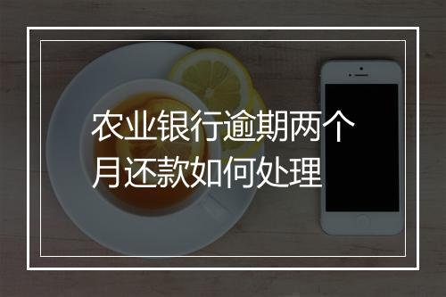 农业银行逾期两个月还款如何处理