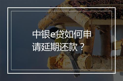 中银e贷如何申请延期还款？