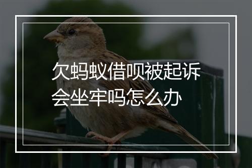 欠蚂蚁借呗被起诉会坐牢吗怎么办