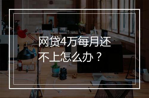 网贷4万每月还不上怎么办？
