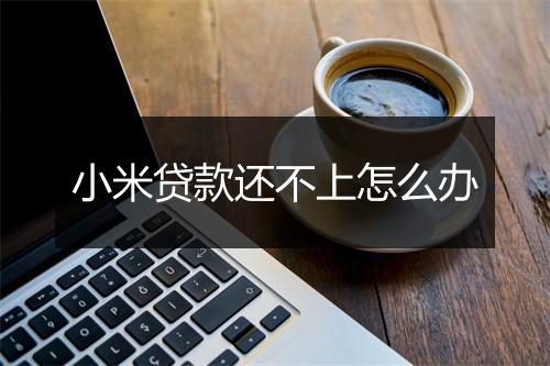 小米贷款还不上怎么办