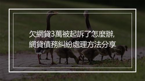 欠網貸3萬被起訴了怎麼辦,網貸債務糾紛處理方法分享