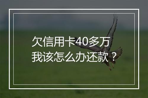 欠信用卡40多万我该怎么办还款？