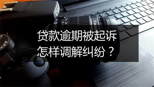 贷款逾期被起诉怎样调解纠纷？