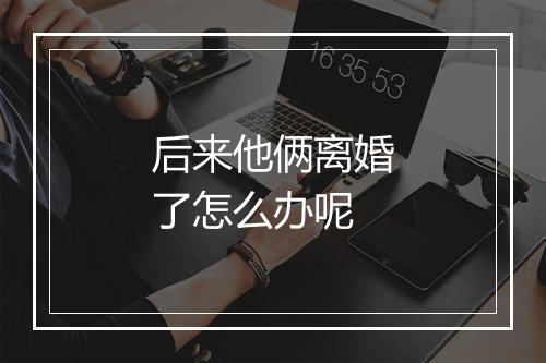 后来他俩离婚了怎么办呢