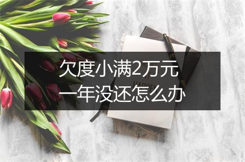 欠度小满2万元一年没还怎么办