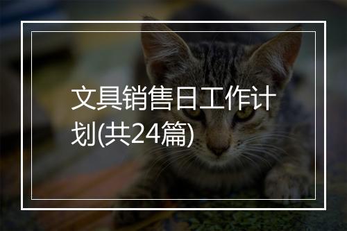 文具销售日工作计划(共24篇)