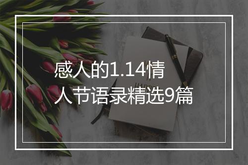 感人的1.14情人节语录精选9篇