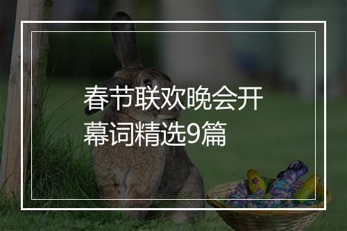 春节联欢晚会开幕词精选9篇