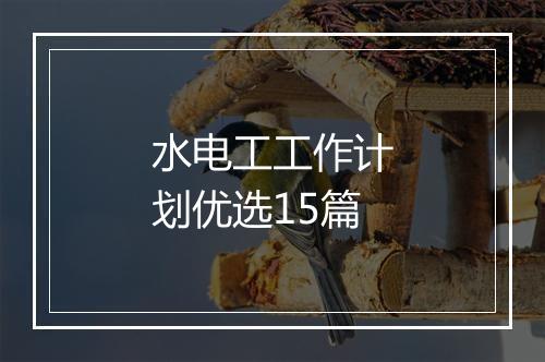 水电工工作计划优选15篇
