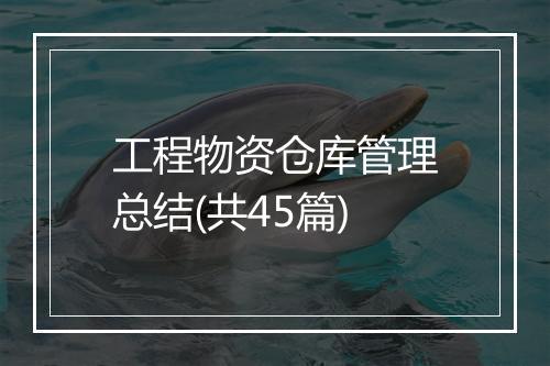 工程物资仓库管理总结(共45篇)