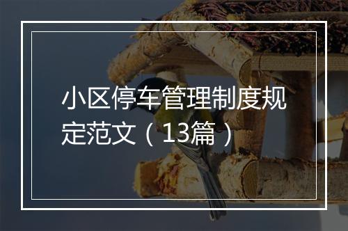 小区停车管理制度规定范文（13篇）