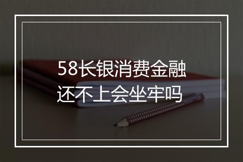 58长银消费金融还不上会坐牢吗