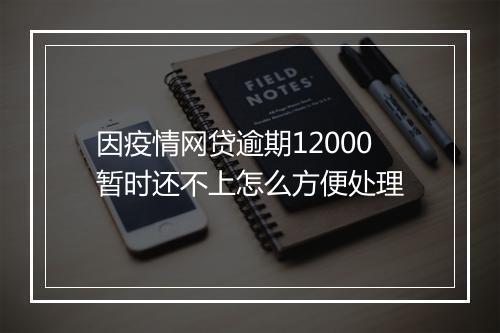 因疫情网贷逾期12000暂时还不上怎么方便处理