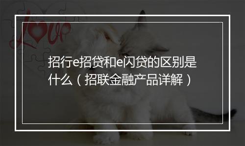 招行e招贷和e闪贷的区别是什么（招联金融产品详解）