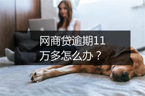 网商贷逾期11万多怎么办？