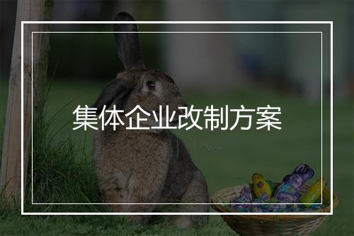 集体企业改制方案