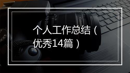 个人工作总结（优秀14篇）
