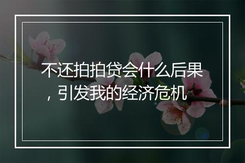 不还拍拍贷会什么后果，引发我的经济危机