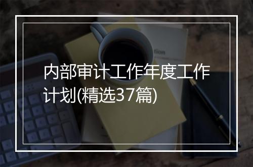 内部审计工作年度工作计划(精选37篇)