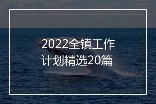 2022全镇工作计划精选20篇