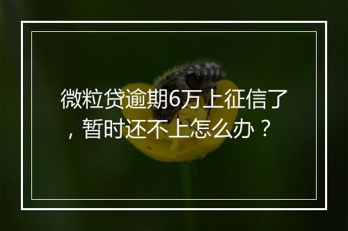 微粒贷逾期6万上征信了，暂时还不上怎么办？