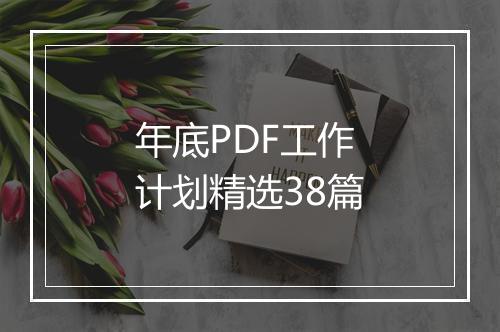 年底PDF工作计划精选38篇