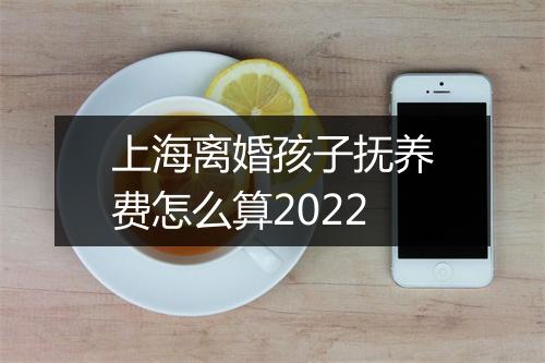 上海离婚孩子抚养费怎么算2022