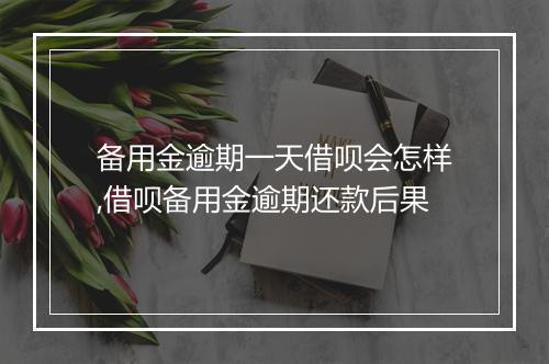 备用金逾期一天借呗会怎样,借呗备用金逾期还款后果