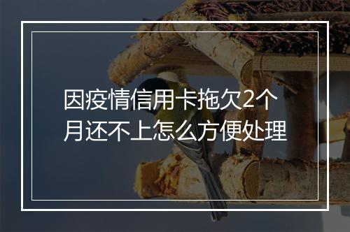 因疫情信用卡拖欠2个月还不上怎么方便处理