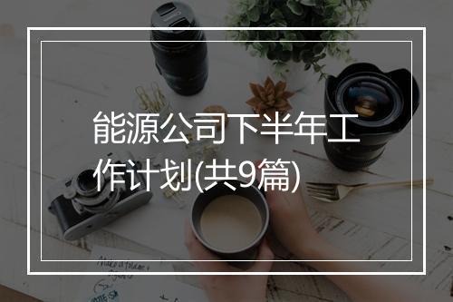 能源公司下半年工作计划(共9篇)