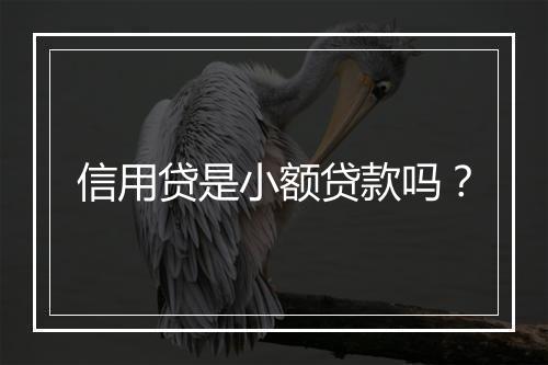 信用贷是小额贷款吗？