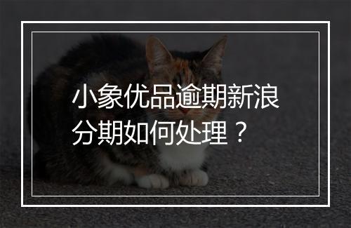 小象优品逾期新浪分期如何处理？