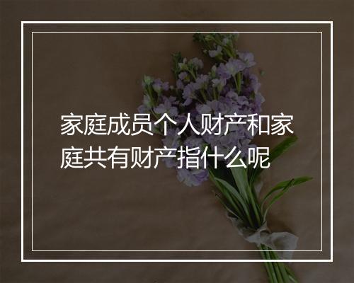 家庭成员个人财产和家庭共有财产指什么呢